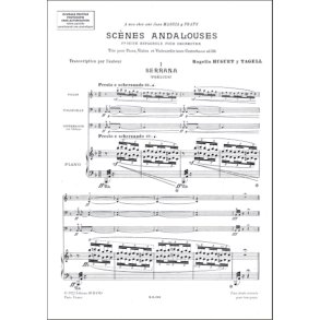 Scene Andalouse Trio